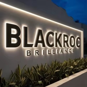 Illuminated three-dimensional building signage